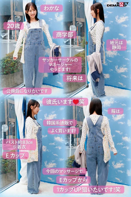 1sdmm00226 SS3