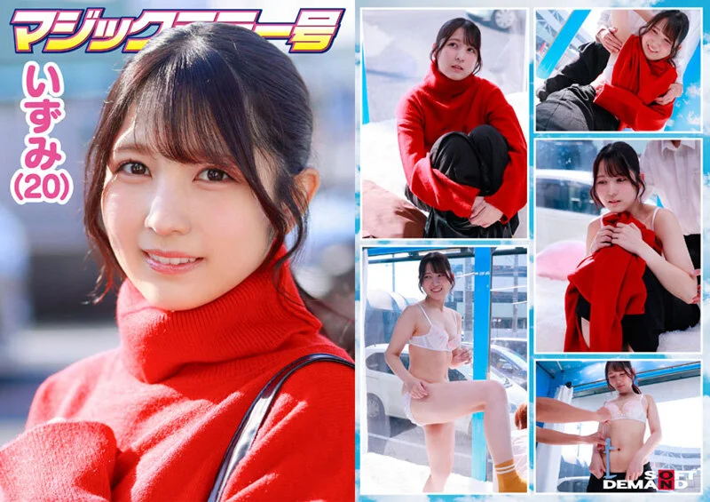 1sdmm00230 SS1