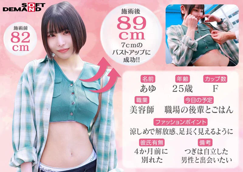 1sdmm00240 SS2